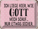 Blechschild 30x40 cm liege hier wie Gott mich schuf Spruch Zitat