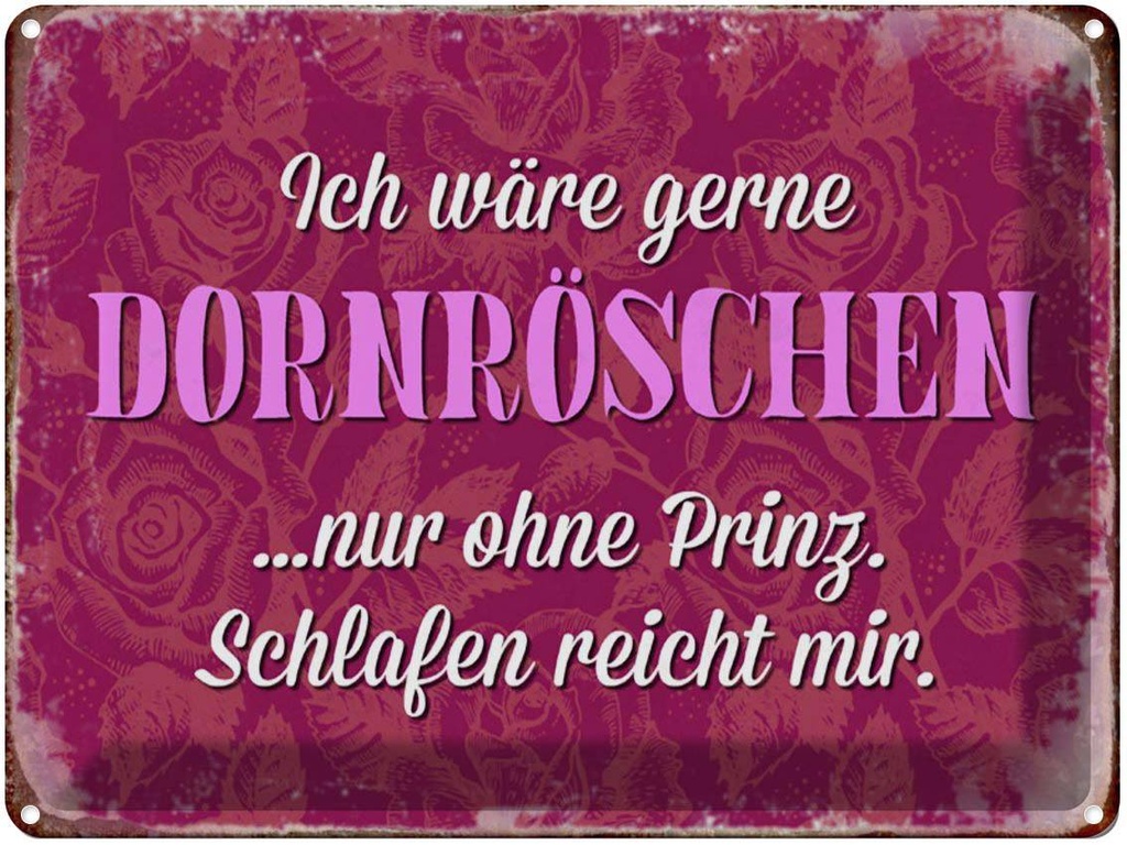 [LA-1790582] Blechschild 30x40 cm ich gerne Dornröschen ohne Prinz Spruch Zitat