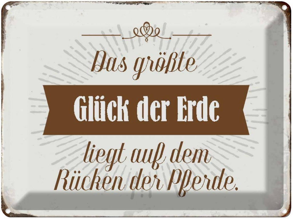 [LA-1790625] Blechschild 30x40 cm Glück der Erde auf Rücken Pferde Spruch Zitat