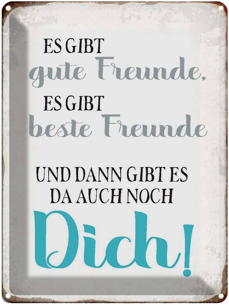[LA-1790646] Blechschild 40x30 cm gibt gute Freunde auch noch Dich Spruch Zitat