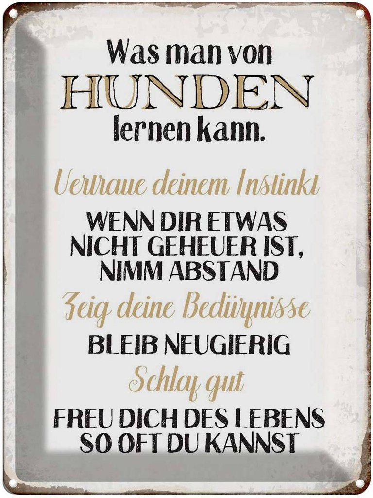 [LA-1790693] Blechschild 40x30 cm was man von Hunden lernen kann Spruch Zitat
