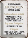 Blechschild 40x30 cm was man von Hunden lernen kann Spruch Zitat