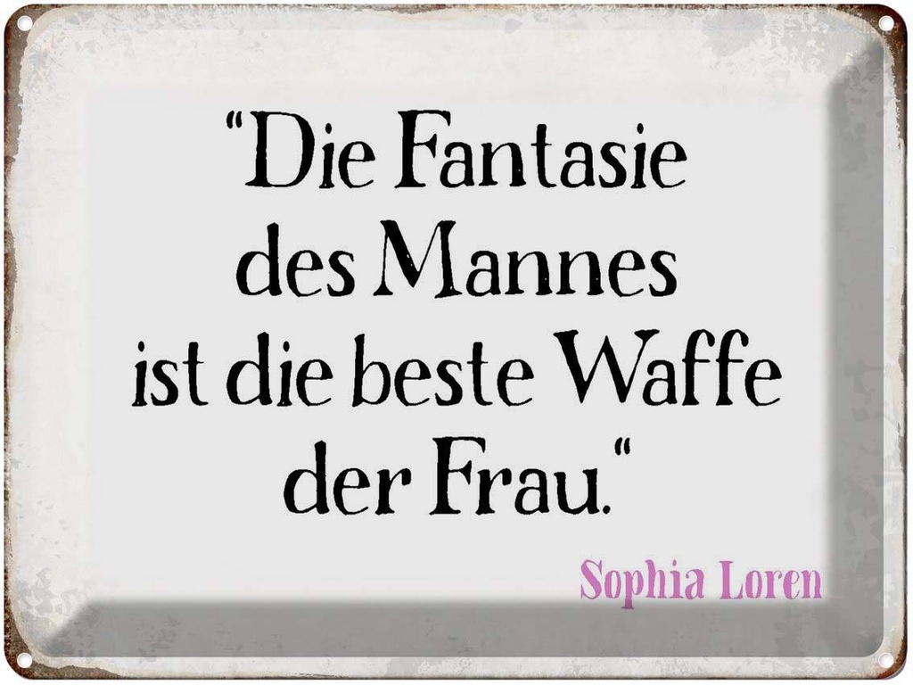 [LA-1790704] Blechschild 30x40 cm Fantasie des Mannes beste Waffe Spruch Zitat