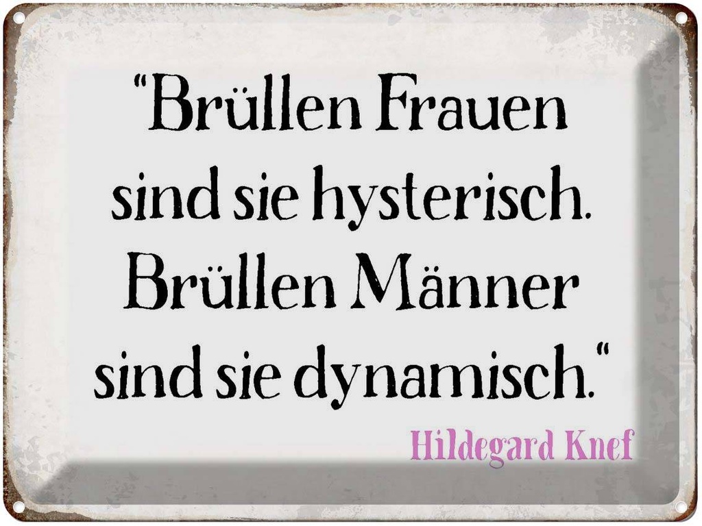 [LA-1790710] Blechschild 30x40 cm Brüllen Frauen Männer Spruch Zitat