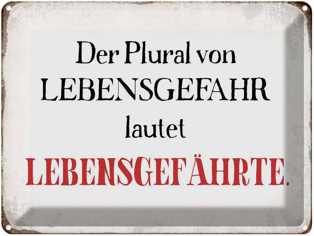 [LA-1790723] Blechschild 30x40 cm plural von Lebensgefahr lautet Spruch Zitat