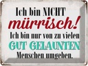 Blechschild 30x40 cm ich bin nicht mürrisch nur Spruch Zitat