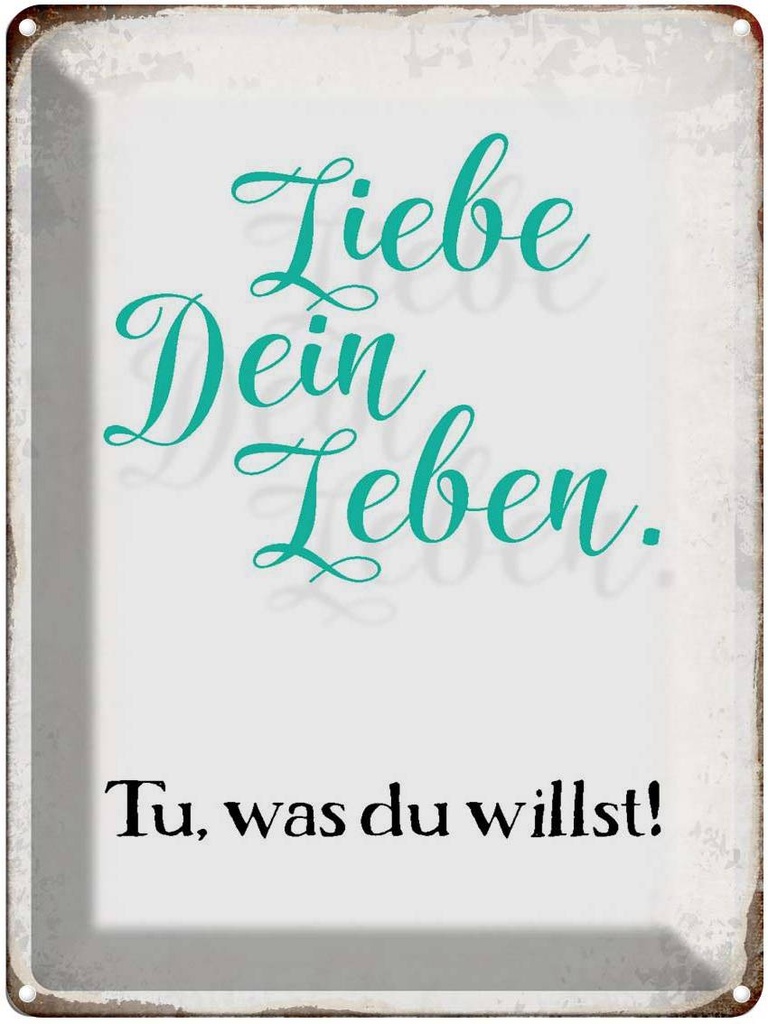 [LA-1790766] Blechschild 40x30 cm liebe dein Leben tue was willst Spruch Zitat
