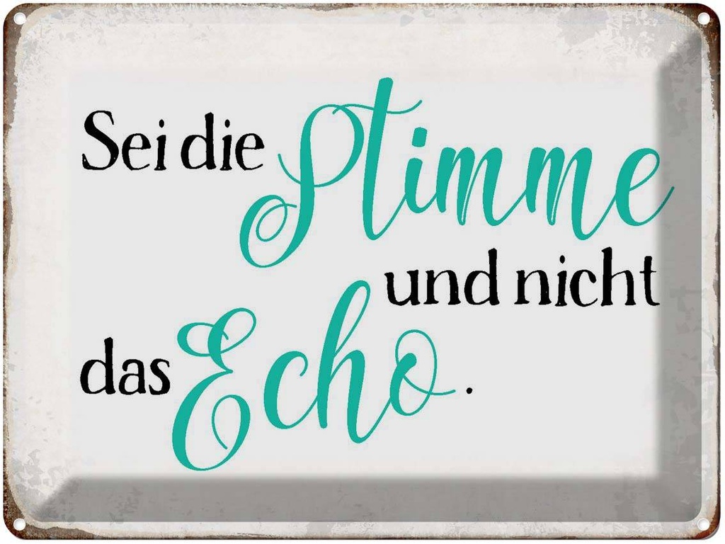 [LA-1790773] Blechschild 30x40 cm sei die Stimme nicht das Echo Spruch Zitat