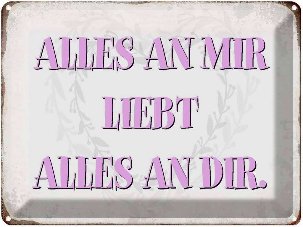 [LA-1790777] Blechschild 30x40 cm alles an mir liebt dir Spruch Zitat