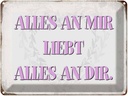 Blechschild 30x40 cm alles an mir liebt dir Spruch Zitat