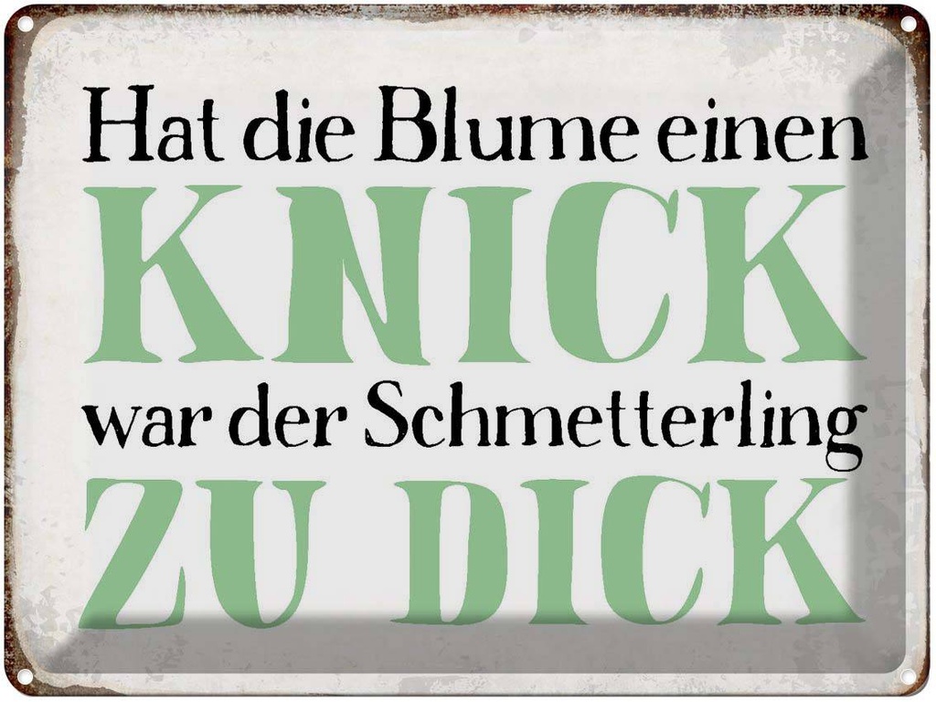 [LA-1790783] Blechschild 30x40 cm Blume Knick Schmetterling dick Spruch Zitat