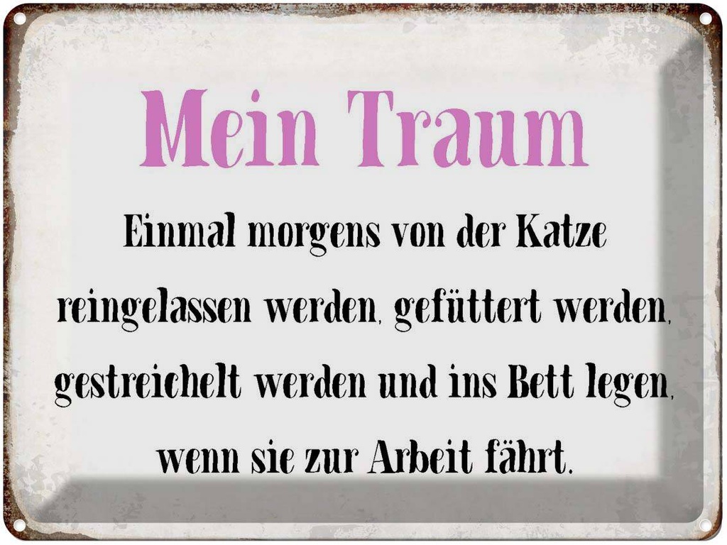 [LA-1790787] Blechschild 30x40 cm mein Traum von Katze gefüttert