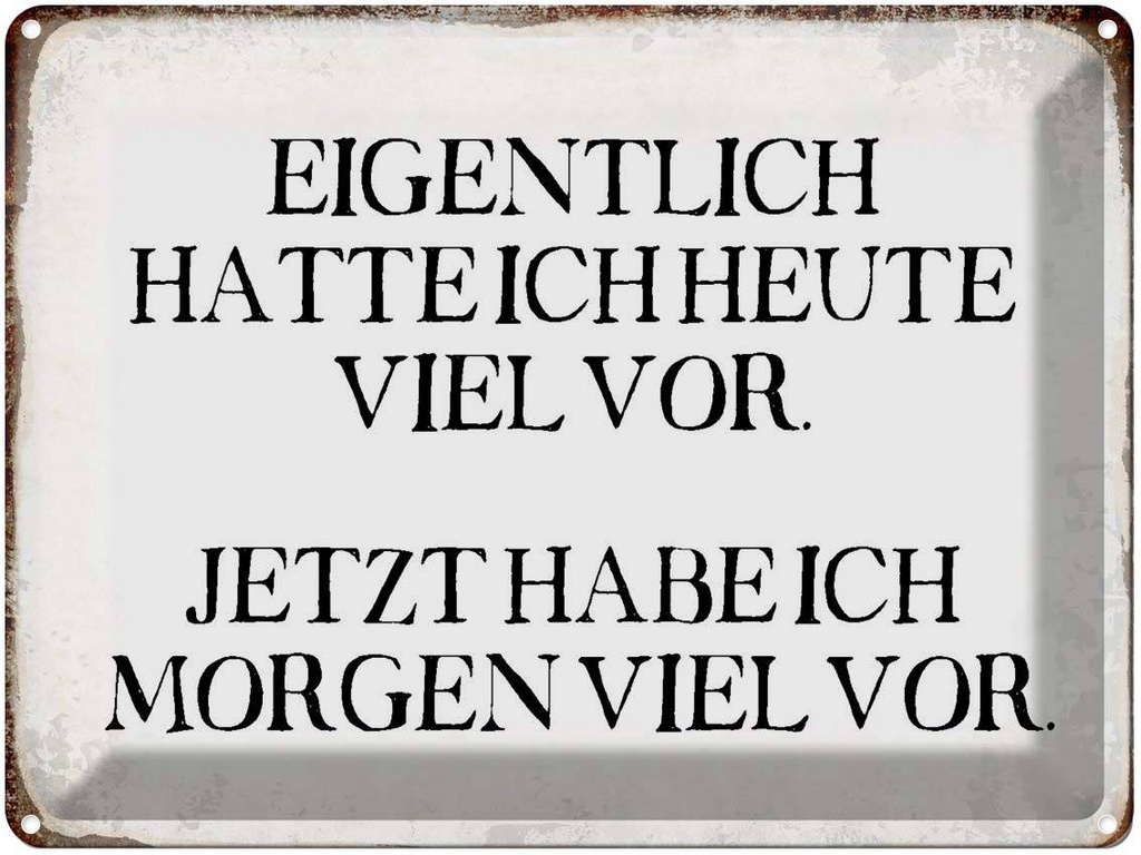 [LA-1790817] Blechschild 30x40 cm eigentlich hatte heute viel vor Spruch Zitat