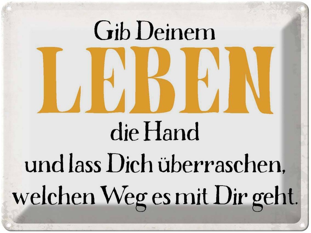 [LA-1790850] Blechschild 30x40 cm gib deinem Leben die Hand Spruch Zitat