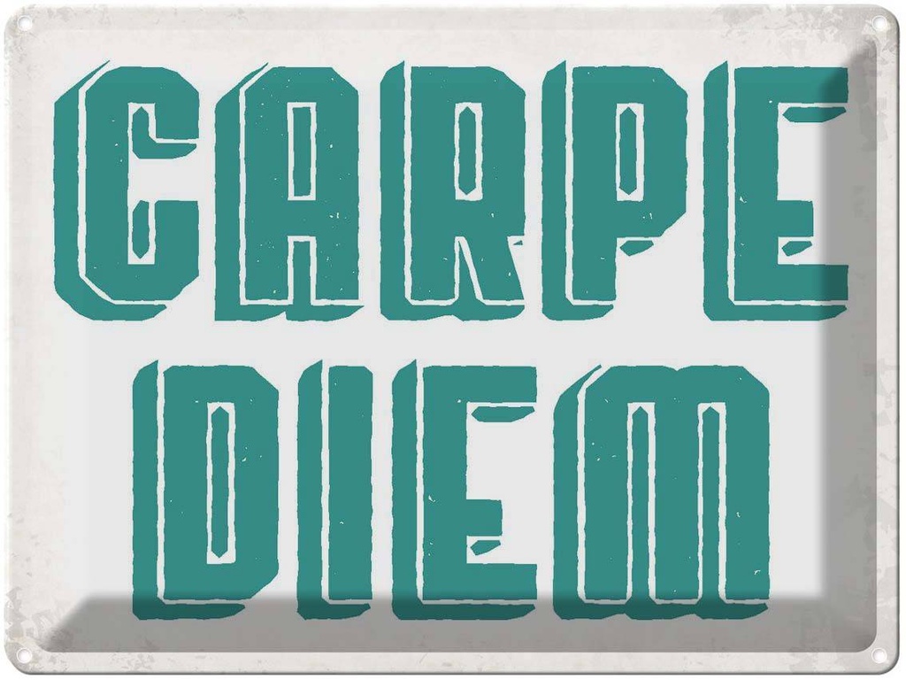 [LA-1790863] Blechschild 30x40 cm carpe diem nutze dein Tag