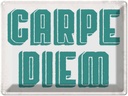 Blechschild 30x40 cm carpe diem nutze dein Tag
