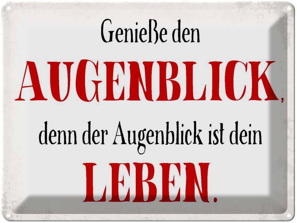[LA-1790871] Blechschild 30x40 cm genieße den Augenblick Leben Spruch Zitat