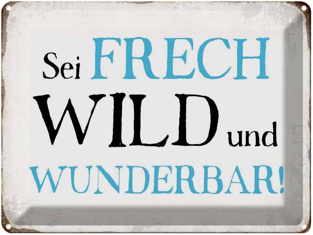 [LA-1790891] Blechschild 30x40 cm sei frech wild wunderbar Retro Spruch Zitat