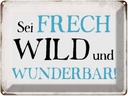 Blechschild 30x40 cm sei frech wild wunderbar Retro Spruch Zitat