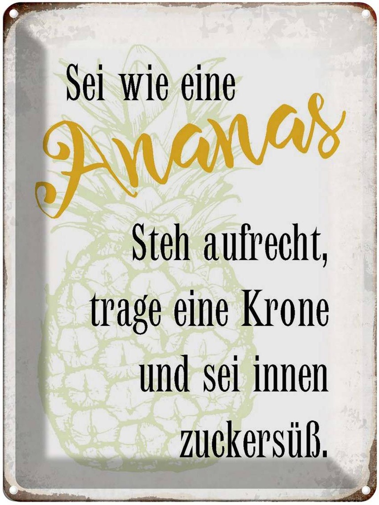 [LA-1790892] Blechschild 40x30 cm sei Ananas aufrecht zuckersüß Spruch Zitat