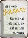 Blechschild 40x30 cm sei Ananas aufrecht zuckersüß Spruch Zitat