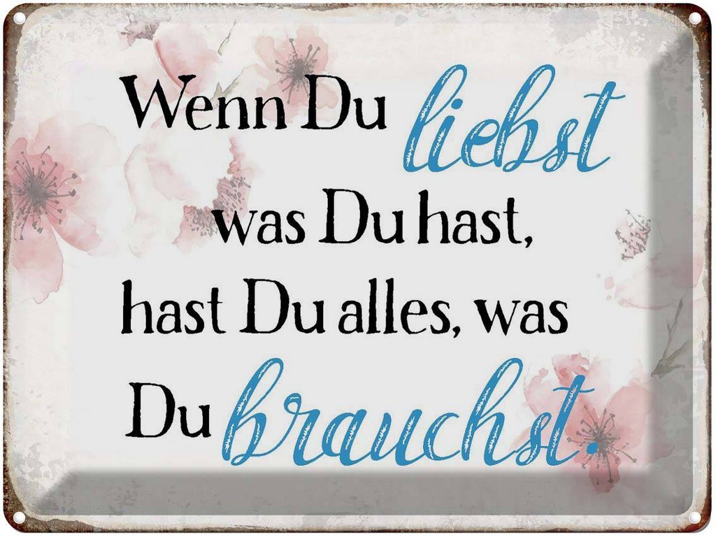 [LA-1790908] Blechschild 30x40 cm wenn du liebst was hast Spruch Zitat