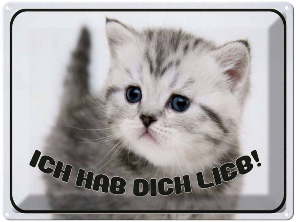 [LA-1790930] Blechschild 30x40 cm Katze ich hab dich lieb