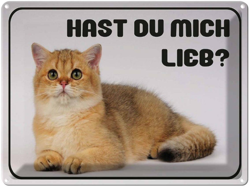 [LA-1790931] Blechschild 30x40 cm Katze hast du mich lieb?