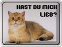 Blechschild 30x40 cm Katze hast du mich lieb?
