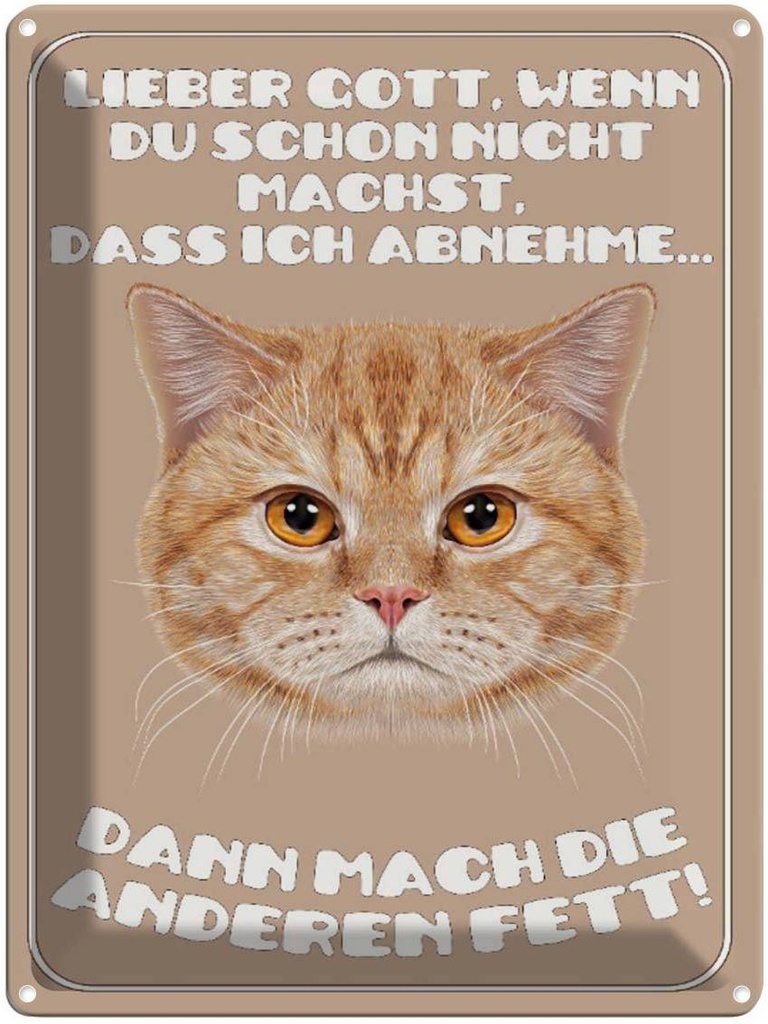 [LA-1790932] Blechschild 40x30 cm Katze lieber Gott wenn du schon nicht