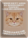 Blechschild 40x30 cm Katze lieber Gott wenn du schon nicht