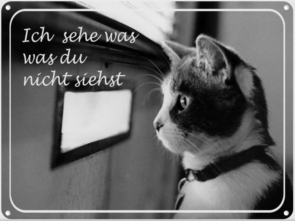 [LA-1790966] Blechschild 30x40 cm Katze ich sehe was du nicht siehst