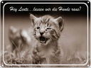 Blechschild 30x40 cm Katze Hey lassen wir die Hunde raus?