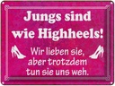 Blechschild 30x40 cm Jungs sind wie Highheels Spruch Zitat