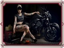 Blechschild 30x40 cm Motorrad Biker Girl Pinup Frau Tattoo Bildmotiv