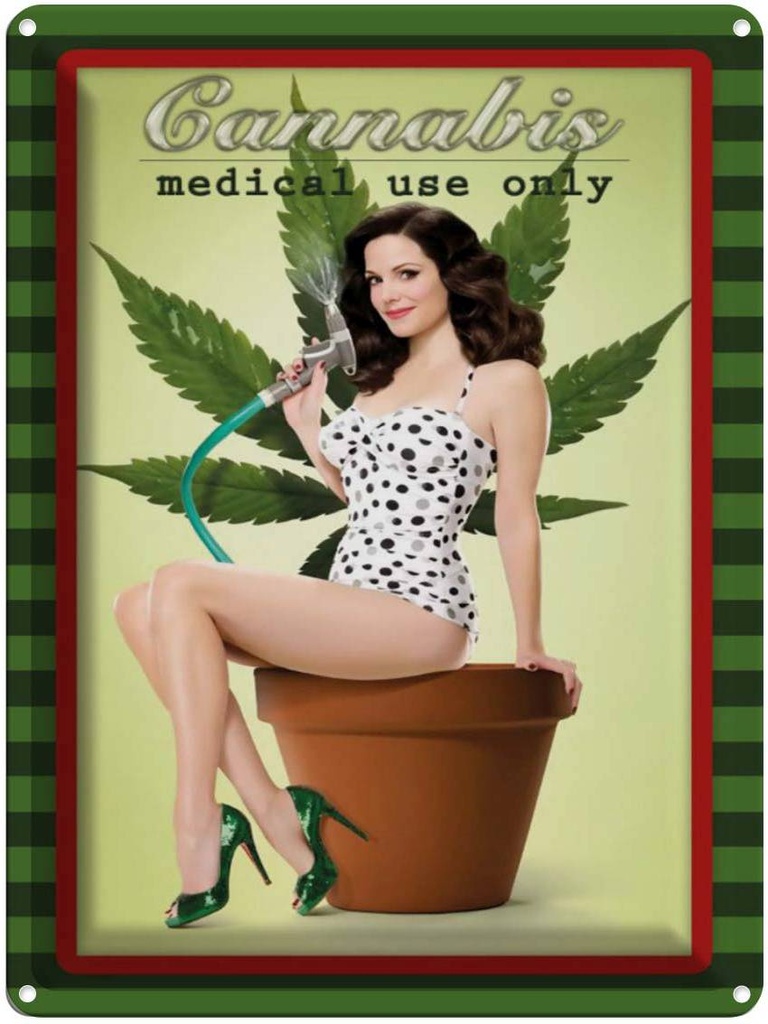 Blechschild 40x30 cm Pinup Cannabis medical use only