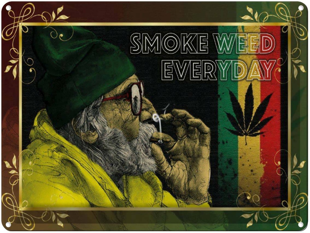 Blechschild 30x40 cm Cannabis smoke weed everyday