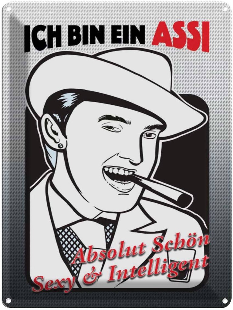 [LA-1791142] Blechschild 40x30 cm ich bin ASSI schön intelligent Spruch Zitat
