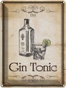 Blechschild 40x30 cm Alkohol 1761 Gin tonic Retro