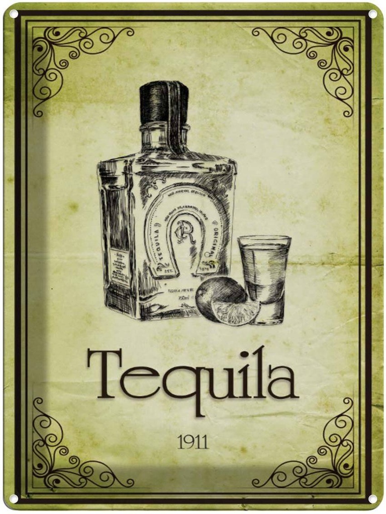 Blechschild 40x30 cm Alkohol 1911 Tequila