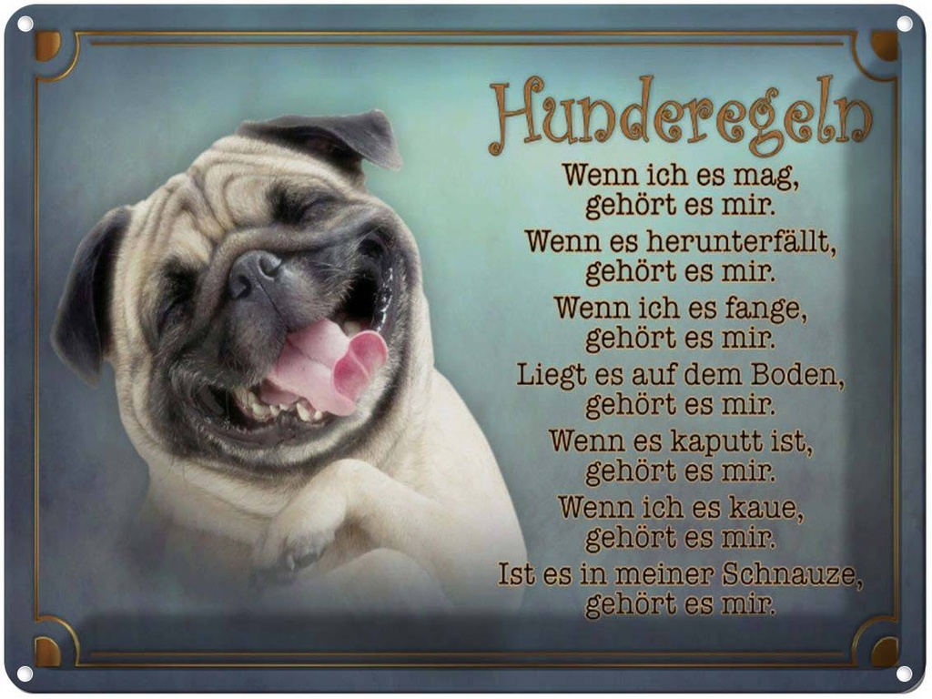 [LA-1791156] Blechschild 30x40 cm Hunderegeln wenn ich es mag Hund