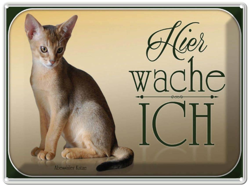 [LA-1791157] Blechschild 30x40 cm Katze Abessinier hier wache ich
