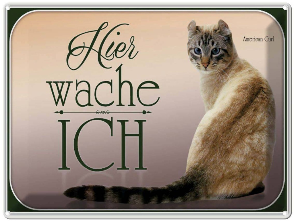 [LA-1791158] Blechschild 30x40 cm Katze American Curl hier wache ich