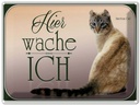 Blechschild 30x40 cm Katze American Curl hier wache ich