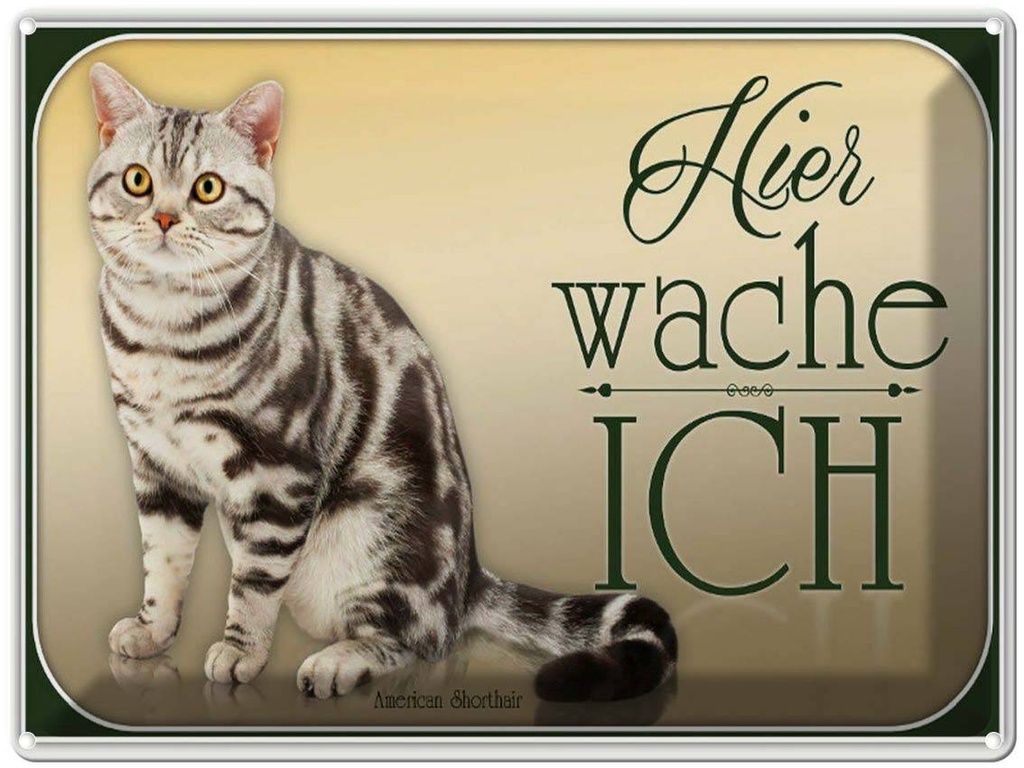[LA-1791159] Blechschild 30x40 cm Katze American Shorthair hier wache