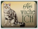 Blechschild 30x40 cm Katze American Shorthair hier wache