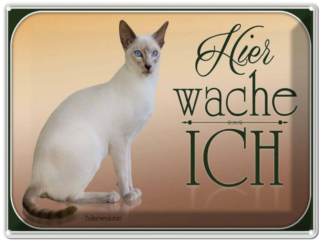 [LA-1791160] Blechschild 30x40 cm Katze Balinesenkatze hier wache ich