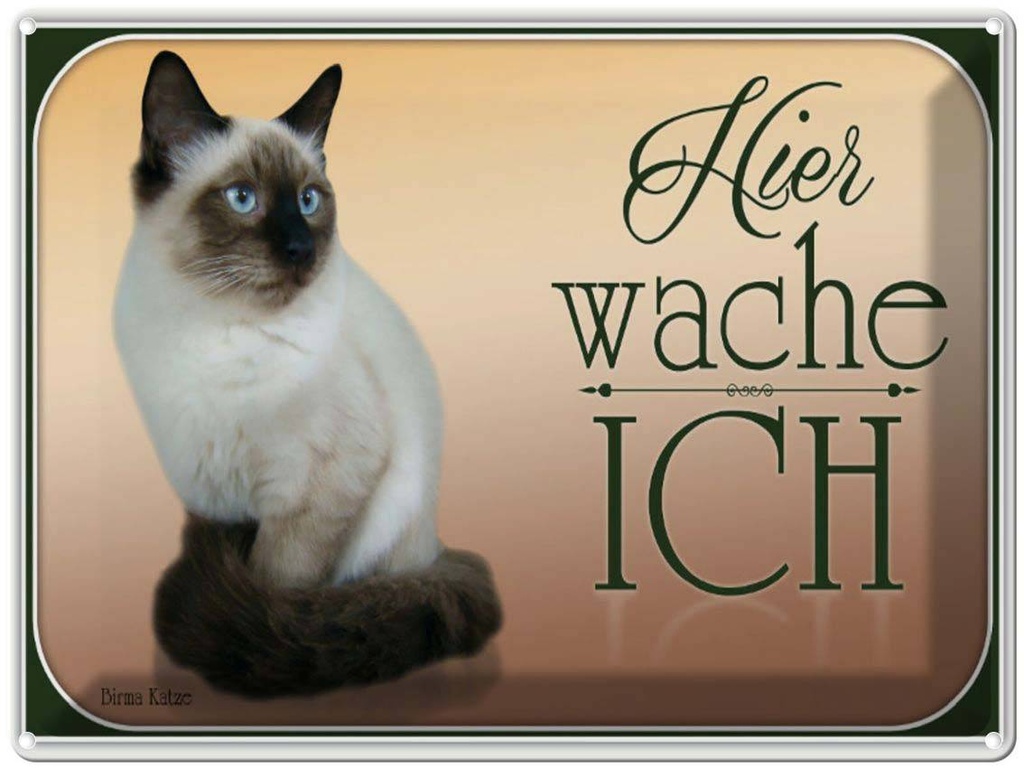 [LA-1791161] Blechschild 30x40 cm Katze Birma hier wache ich