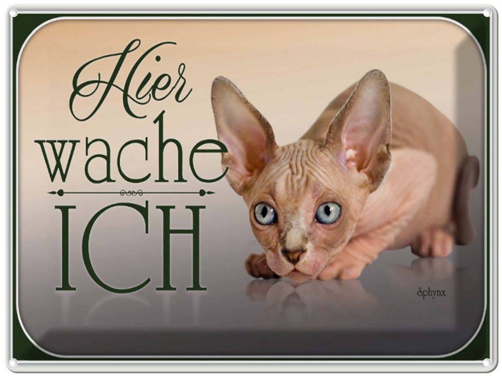 [LA-1791162] Blechschild 30x40 cm Katze Sphynx hier wache ich