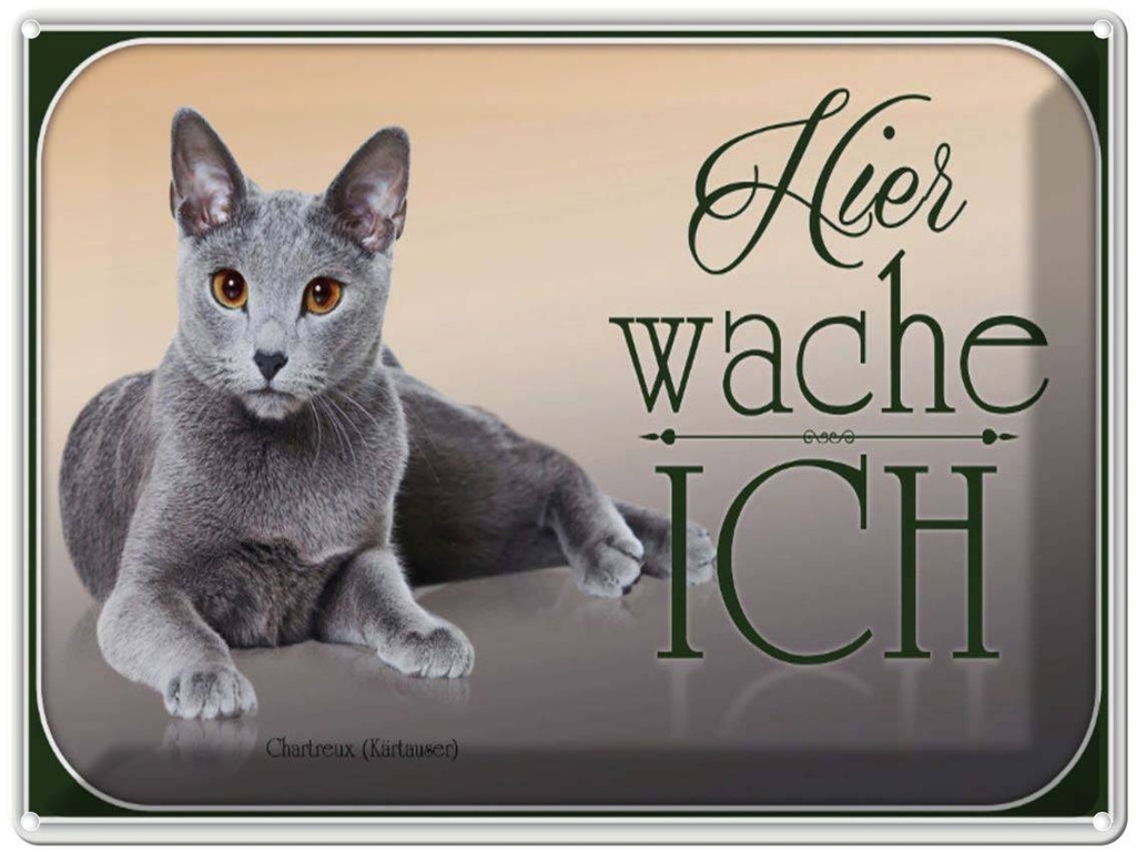 [LA-1791163] Blechschild 30x40 cm Katze Chartreux hier wache ich